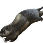 170-Million-Year-Old Herbivorous Reptile Fossil Unearthed in China's Three Gorges