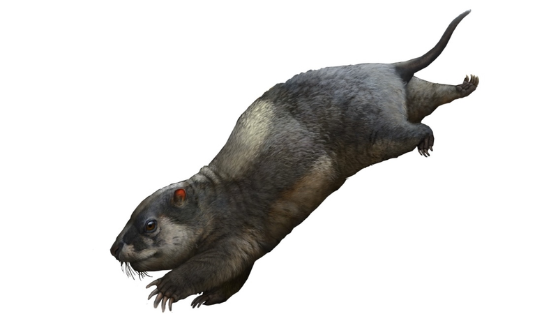 170-Million-Year-Old_Herbivorous_Reptile_Fossil_Unearthed_in_Chinas_Three_Gorges - Khabar Asia 170-Million-Year-Old Herbivorous Reptile Fossil Unearthed in China's Three Gorges