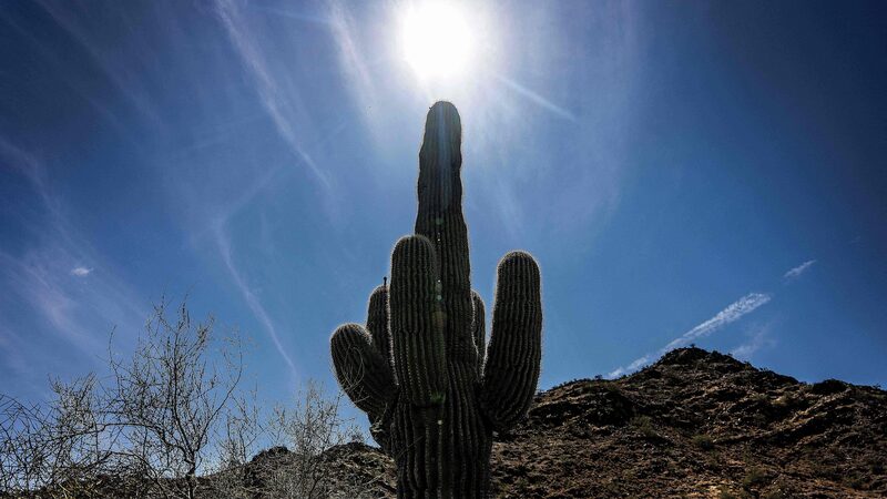 2024_Confirmed_as_Warmest_Year_Globally_Since_1850__Exceeding_Critical_1_5_C_Threshold