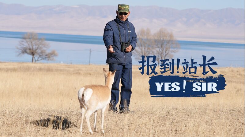 2024_World_Ranger_Day__Celebrating_the_Guardians_of_Nature_and_the__30_by_30__Goal video poster