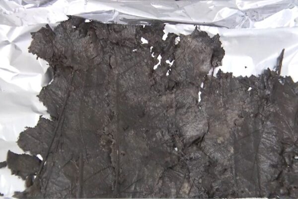 2,200-Year-Old Leaves Unearthed in Ancient Chu State Tomb in East China 2,200-Year-Old Leaves Unearthed in Ancient Chu State Tomb in East China video poster