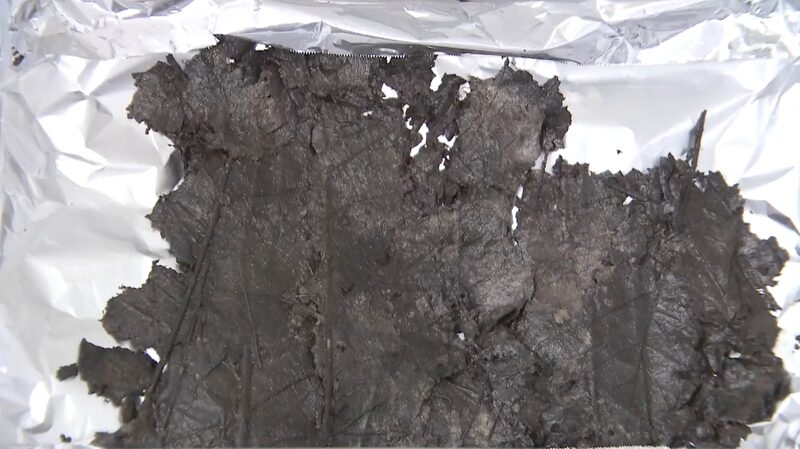 2,200-Year-Old Leaves Unearthed in Ancient Chu State Tomb in East China video poster