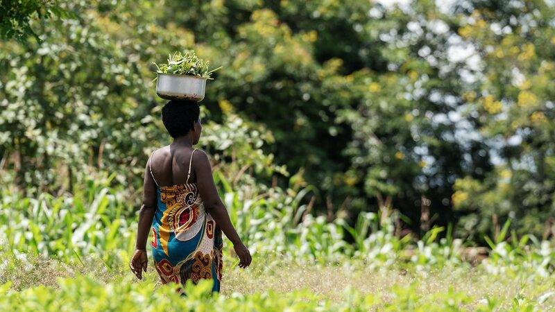 42_Million_Malawians_Facing_Hunger_Crisis_After_Severe_Weather_Events - Khabar Asia 4.2 Million Malawians Facing Hunger Crisis After Severe Weather Events