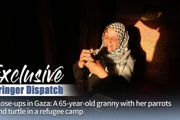 65-Year-Old Gazan Woman Refuses to Leave Pets Amid Conflict 65-Year-Old Gazan Woman Refuses to Leave Pets Amid Conflict video poster