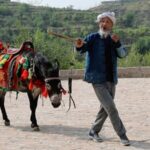 70_Year_Old_Villager_Revives_Loess_Plateau_Folk_Songs_in_Shanxi_s_Lijiashan_Village video poster