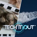 AI_Finds_Exoplanets__Smallest_Dinosaur_Egg_Unearthed__Lunar_Bricks_Developed video poster