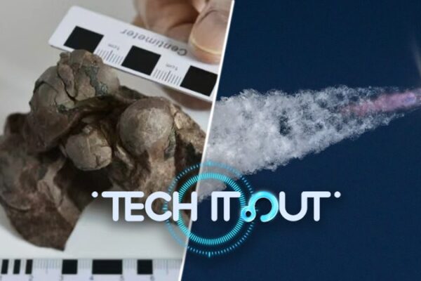 AI Finds Exoplanets, Smallest Dinosaur Egg Unearthed, Lunar Bricks Developed AI_Finds_Exoplanets__Smallest_Dinosaur_Egg_Unearthed__Lunar_Bricks_Developed video poster