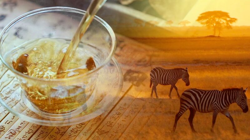 AI_Generated_Song_Celebrates_Tea_Bonds_Between_China_and_Africa video poster