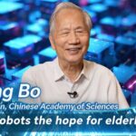 AI_Robots_and_Elderly_Care__Zhang_Bo_Discusses_the_Challenges_Ahead video poster
