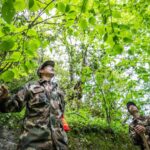 A Forest Ranger's 40-Year Dedication to China's Rare Chinese Dove Trees