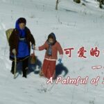 A_Palmful_of_Snow__Preserving_Dali_s_Sweet_Tradition