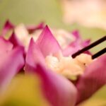 A_Symphony_of_Blooms__Wuxi_Showcases_38th_National_Lotus_Exhibition