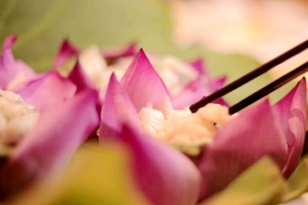 A Symphony of Blooms: Wuxi Showcases 38th National Lotus Exhibition A_Symphony_of_Blooms__Wuxi_Showcases_38th_National_Lotus_Exhibition