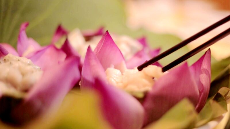 A_Symphony_of_Blooms__Wuxi_Showcases_38th_National_Lotus_Exhibition - Khabar Asia A_Symphony_of_Blooms__Wuxi_Showcases_38th_National_Lotus_Exhibition
