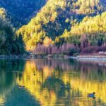 A_Vibrant_Winter_Morning_in_East_China_s_Liren_Village