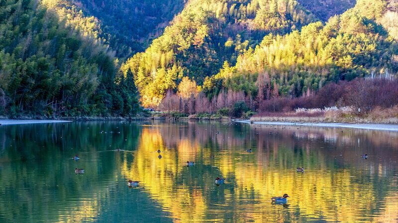 A_Vibrant_Winter_Morning_in_East_China_s_Liren_Village - Khabar Asia A_Vibrant_Winter_Morning_in_East_China_s_Liren_Village