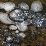 Accelerating_Methane_Levels_Threaten_Global_Climate_Goals__Study_Warns