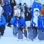 Adorable Penguins Delight Visitors Amid Snowfall at Harbin Polar Park