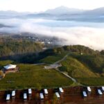 Aerial_Views_Unveil_Anhui_s_Enchanting_Tea_Plantations