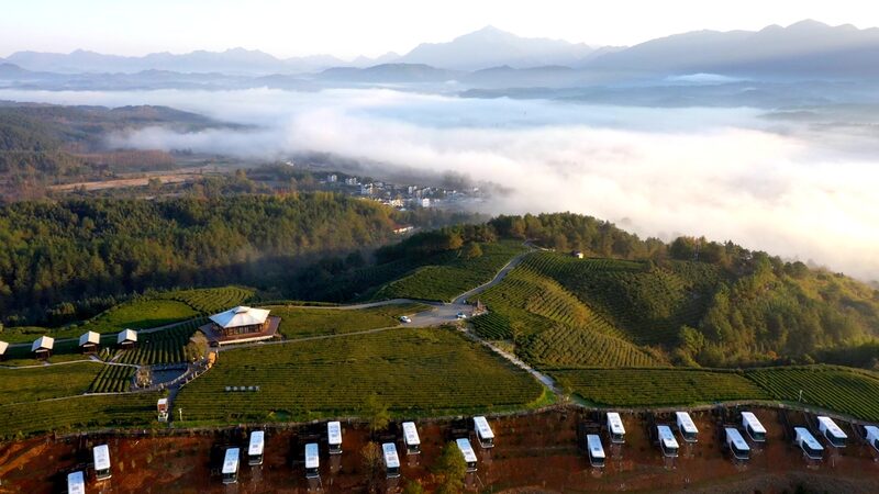 Aerial_Views_Unveil_Anhui_s_Enchanting_Tea_Plantations - Khabar Asia Aerial_Views_Unveil_Anhui_s_Enchanting_Tea_Plantations
