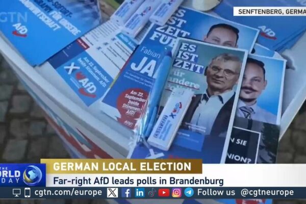 AfD Challenges SPD’s Decades-Long Reign in Brandenburg Election AfD_Challenges_SPD_s_Decades_Long_Reign_in_Brandenburg_Election video poster