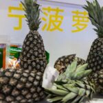 Africa_s_Natural_Treasures_Shine_at_the_7th_China_International_Import_Expo