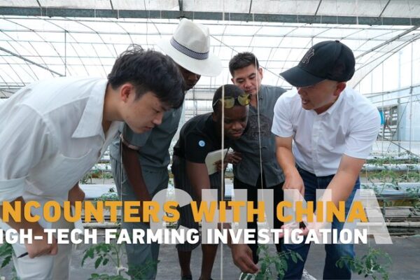African Students Explore China’s High-Tech Farming for Rural Progress African Students Explore China's High-Tech Farming for Rural Progress video poster
