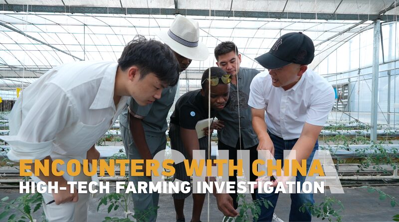 African_Students_Explore_Chinas_High-Tech_Farming_for_Rural_Progress_poster - Khabar Asia African Students Explore China's High-Tech Farming for Rural Progress video poster