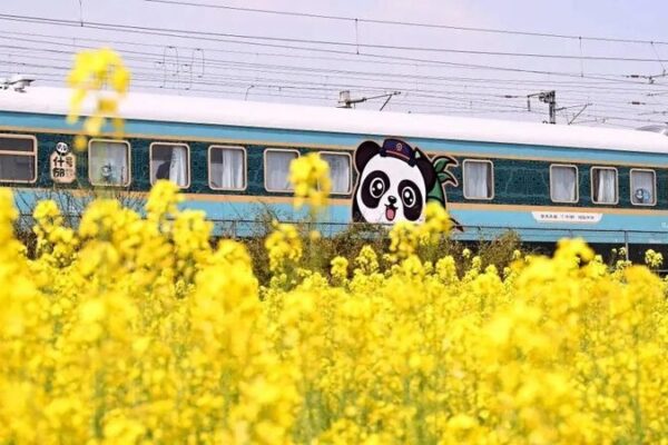 All Aboard China’s Panda-Themed Train Connecting Chengdu and Qingdao All Aboard China's Panda-Themed Train Connecting Chengdu and Qingdao
