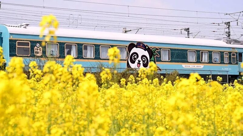 All Aboard China's Panda-Themed Train Connecting Chengdu and Qingdao