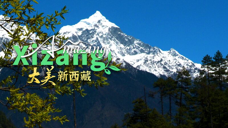 Amazing_Xizang__The_Lush_Forests_Along_the_Yarlung_Zangbo_River - Khabar Asia Amazing_Xizang__The_Lush_Forests_Along_the_Yarlung_Zangbo_River