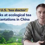 American PhD Student Explores China's Organic Tea Plantations video poster