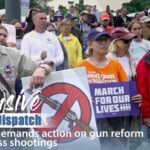 Americans Rally Nationwide Demanding Action on Gun Reform video poster