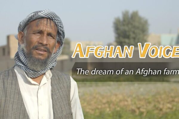 An Afghan Farmer’s Resilience Amid Rising Challenges An Afghan Farmer's Resilience Amid Rising Challenges video poster