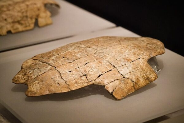 Ancient Oracle Bone Script Inspires Modern Mascot for Year of the Snake Ancient_Oracle_Bone_Script_Inspires_Modern_Mascot_for_Year_of_the_Snake