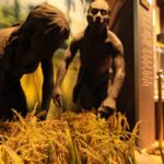 Ancient_Rice_Traces_Found_in_China_Rewrite_History_of_Domestication