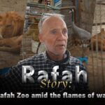 Animals Caught in Gaza Conflict: Rafah Zoo's Plea for Help video poster