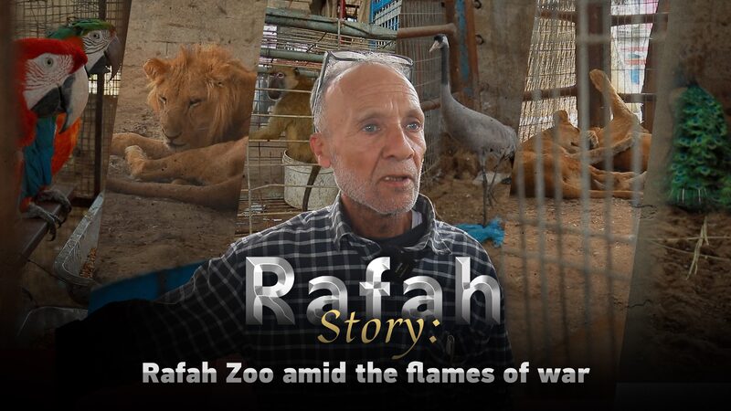 Animals_Caught_in_Gaza_Conflict_Rafah_Zoos_Plea_for_Help_poster - Khabar Asia Animals Caught in Gaza Conflict: Rafah Zoo's Plea for Help video poster