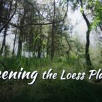 Apples Revitalize China's Loess Plateau: From Barren Lands to Prosperous Orchards video poster