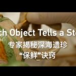 Archaeologists_Unveil_Preservation_Techniques_for_Vibrant_Ancient_Porcelain