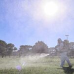 Argentina_Reports_Over_527_000_Dengue_Cases_Amid_Recent_Decline