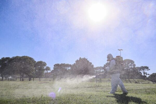 Argentina Reports Over 527,000 Dengue Cases Amid Recent Decline Argentina_Reports_Over_527_000_Dengue_Cases_Amid_Recent_Decline