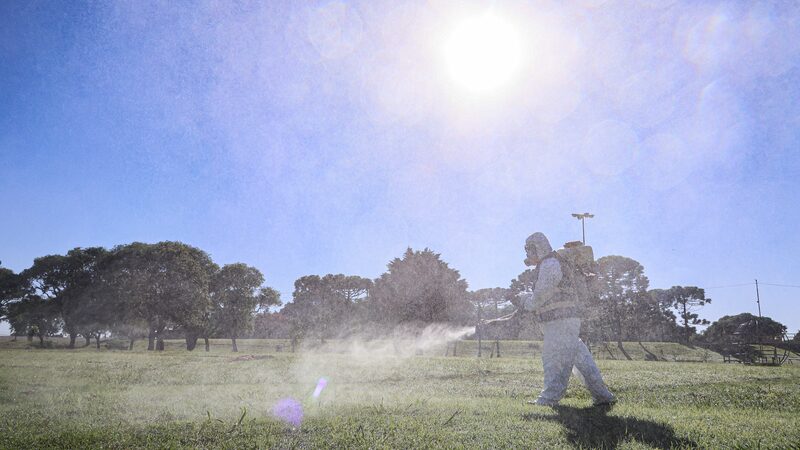 Argentina_Reports_Over_527_000_Dengue_Cases_Amid_Recent_Decline