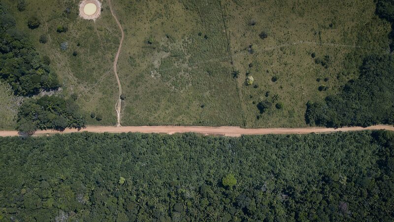 Armed_Groups_Hinder_Colombia_s_Fight_Against_Amazon_Deforestation - Khabar Asia Armed_Groups_Hinder_Colombia_s_Fight_Against_Amazon_Deforestation