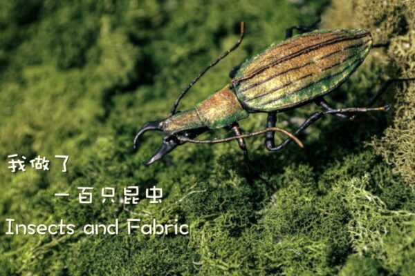 Artist Lin Rongsheng Captures Insect Mysteries Through Fabric Sculptures Artist Lin Rongsheng Captures Insect Mysteries Through Fabric Sculptures video poster