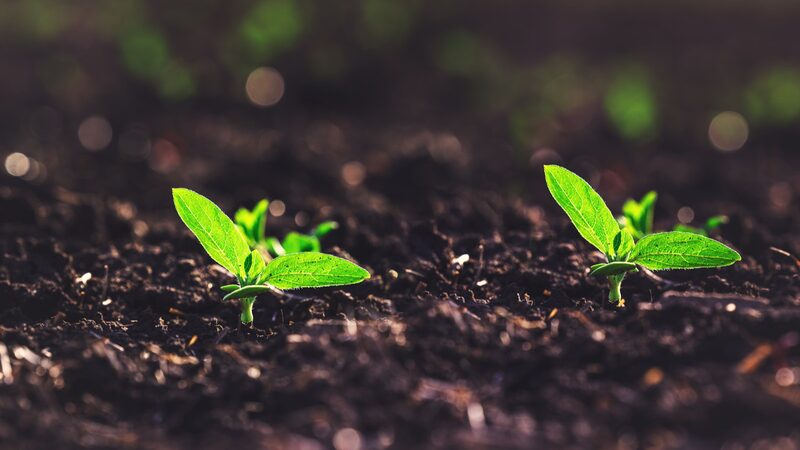 Asia_Unites_on_World_Environment_Day_2024_Restoring_Land_for_a_Sustainable_Future - Khabar Asia Asia Unites on World Environment Day 2024: Restoring Land for a Sustainable Future