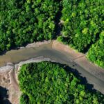 Asia's Leadership in Global Food Security and Climate Action