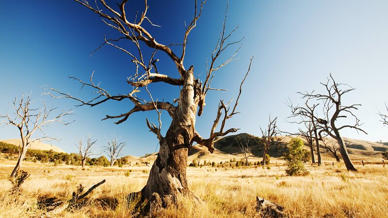 Australia_Could_Face_Decades-Long_Megadroughts_New_Research_Warns - Khabar Asia Australia Could Face Decades-Long Megadroughts, New Research Warns