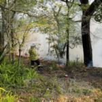 Australia Endures Scorching Heat Wave as Extreme Bushfire Risk Looms