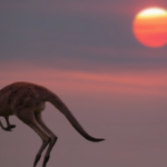 Australia_Experiences_Record_Breaking_Hottest_Spring